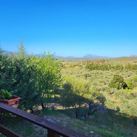 Panoramic House Villa Oliena Bagian luar foto