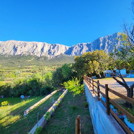 Panoramic House Villa Oliena Bagian luar foto