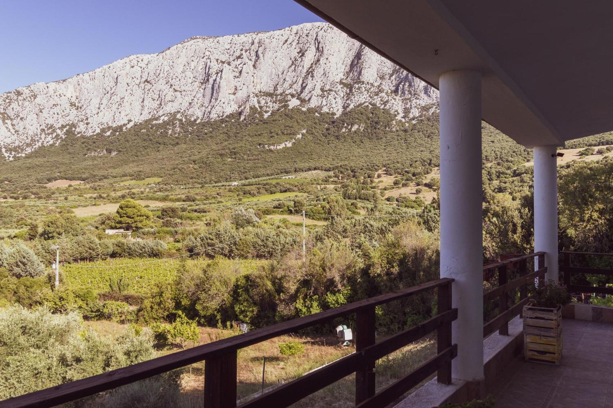 Panoramic House Villa Oliena Bagian luar foto