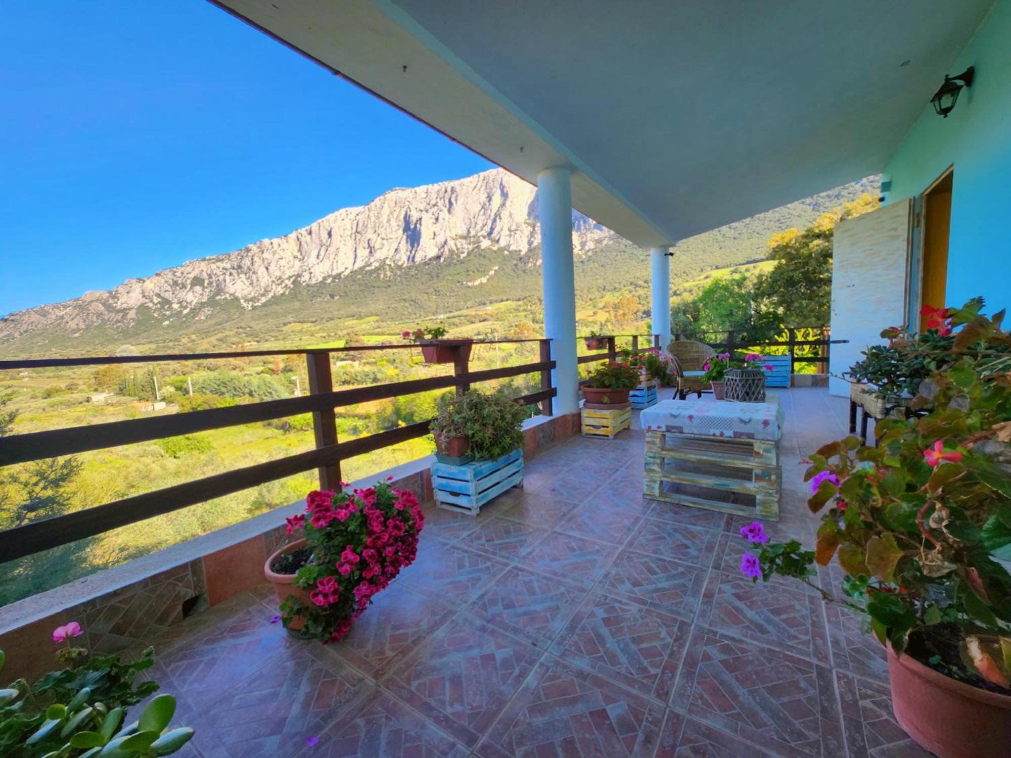 Panoramic House Villa Oliena Bagian luar foto