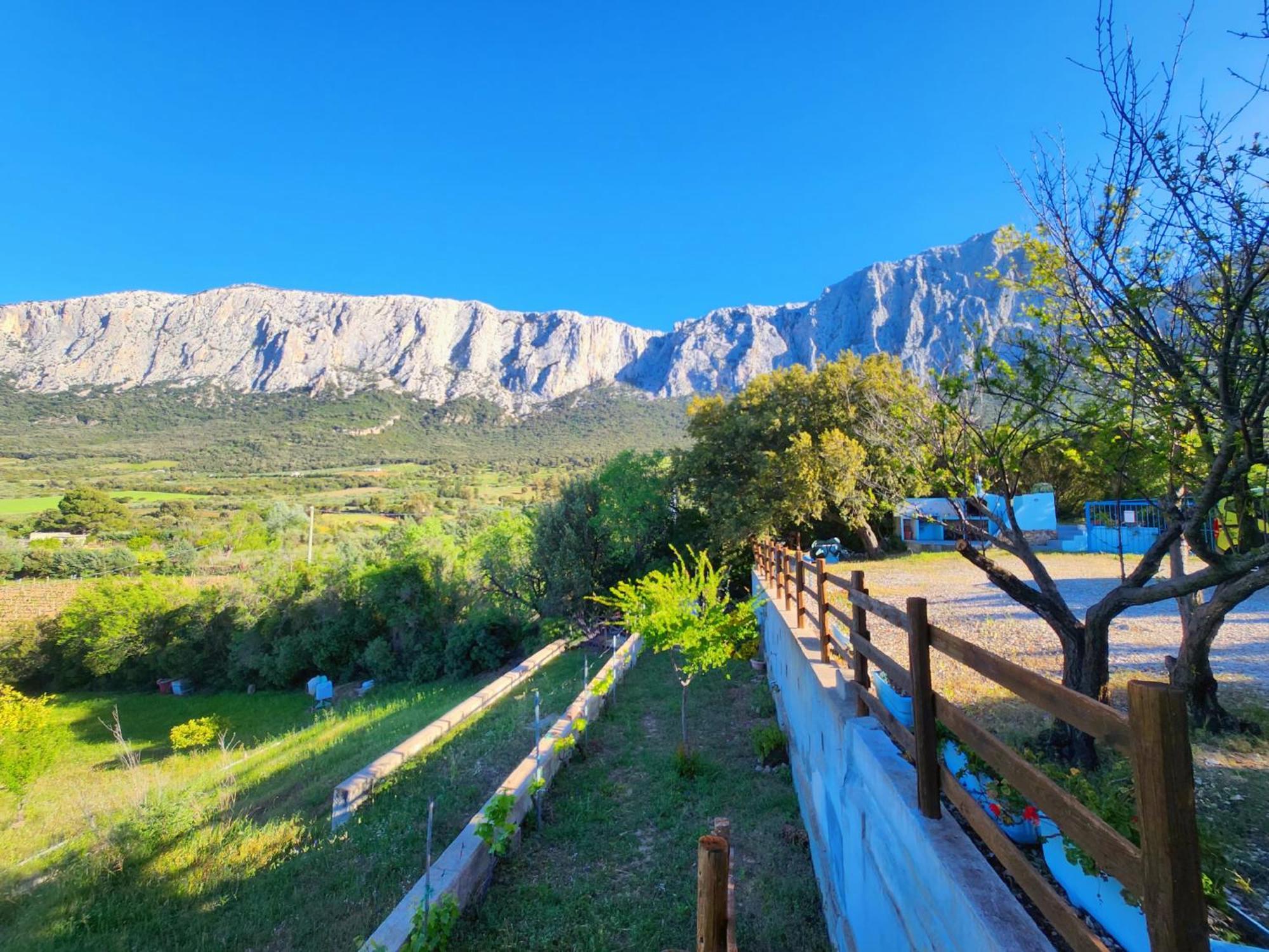 Panoramic House Villa Oliena Bagian luar foto