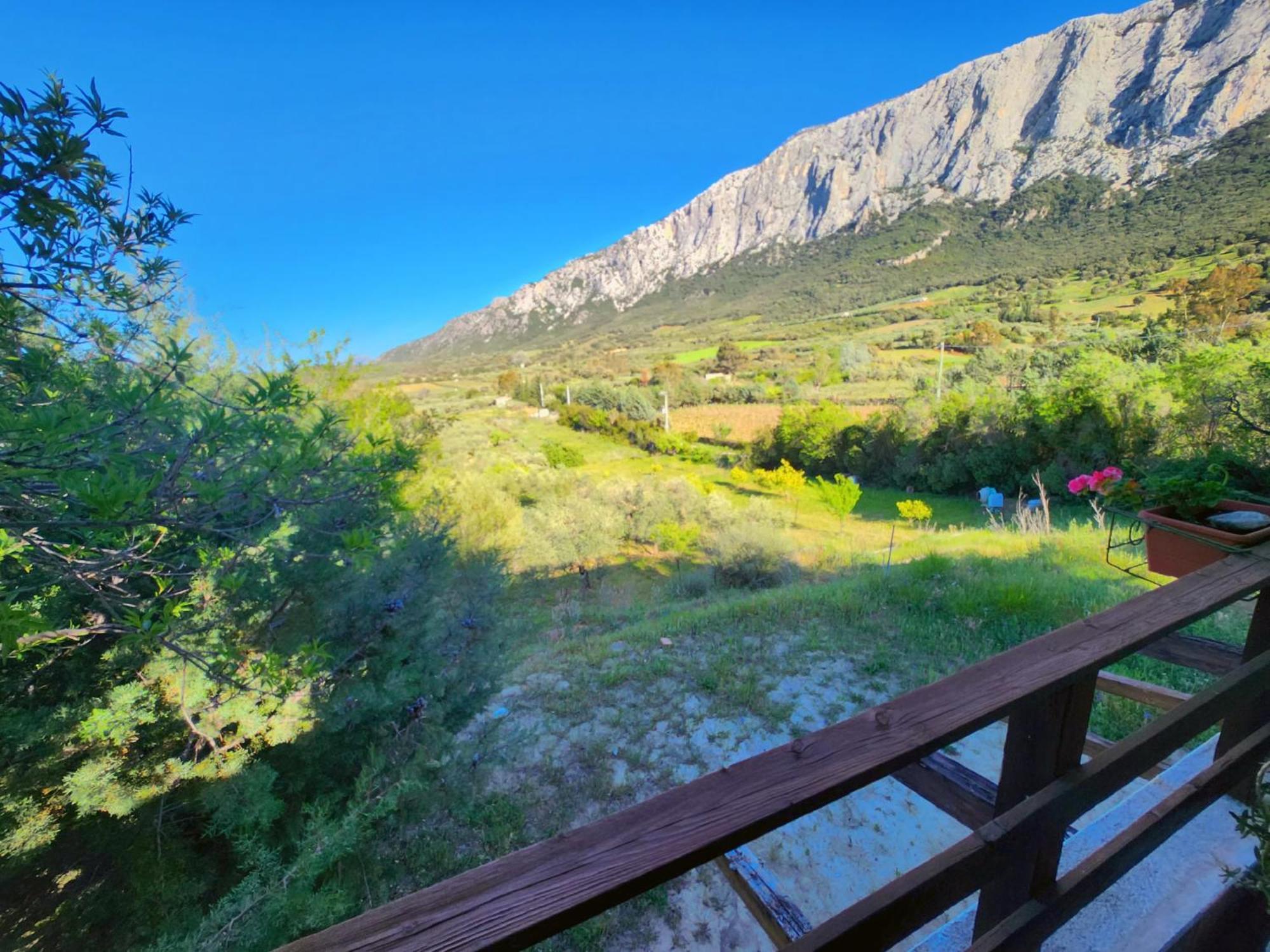 Panoramic House Villa Oliena Bagian luar foto