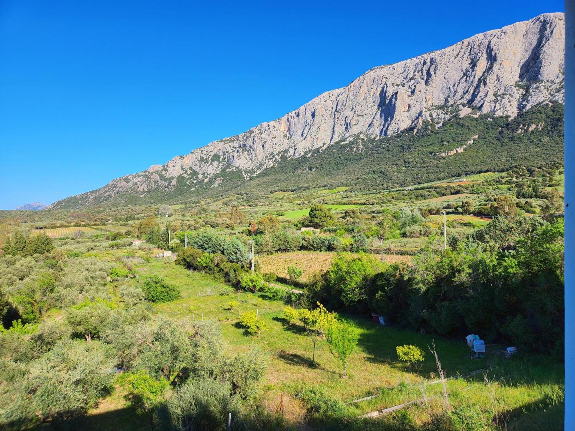 Panoramic House Villa Oliena Bagian luar foto