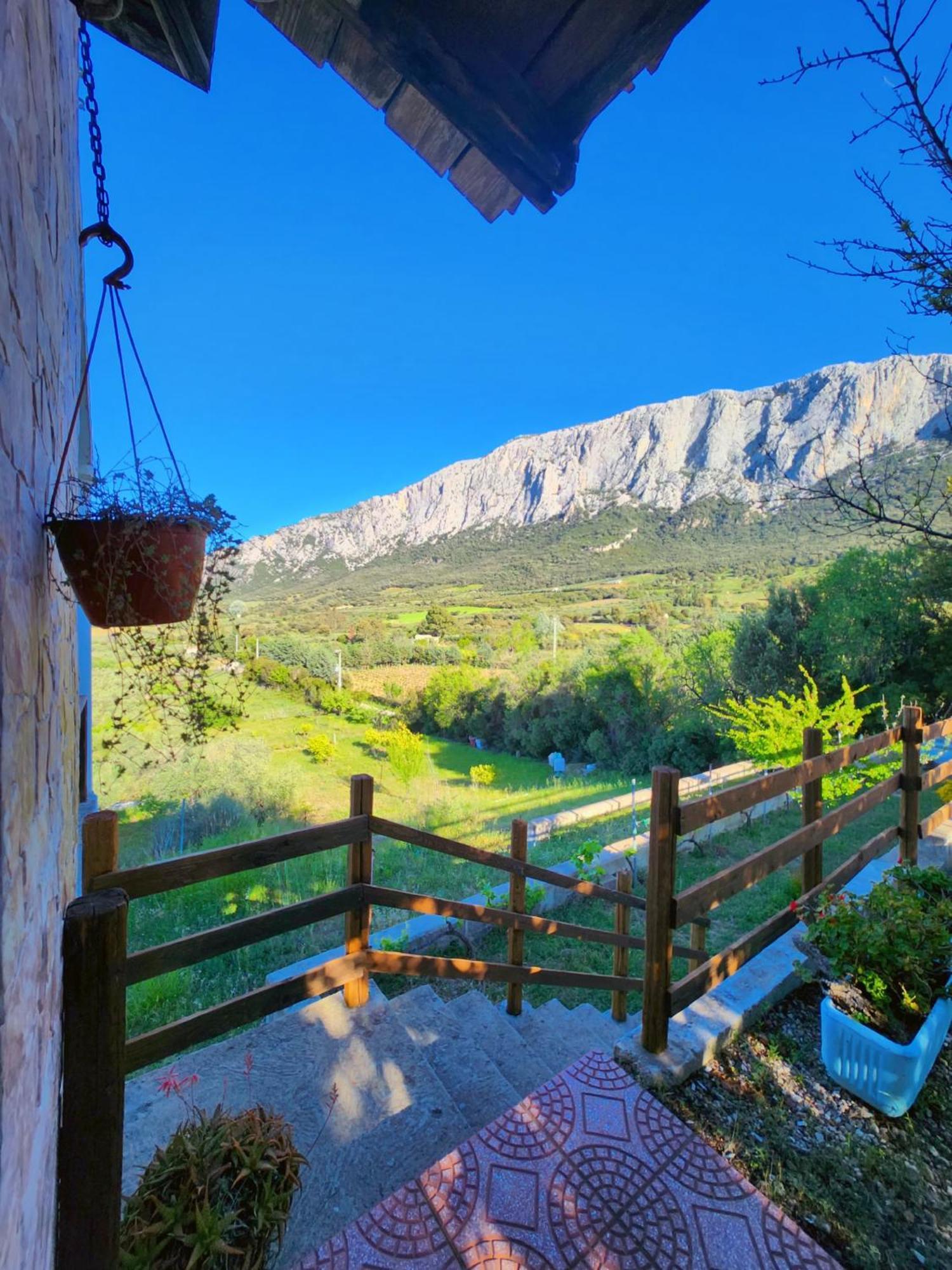 Panoramic House Villa Oliena Bagian luar foto